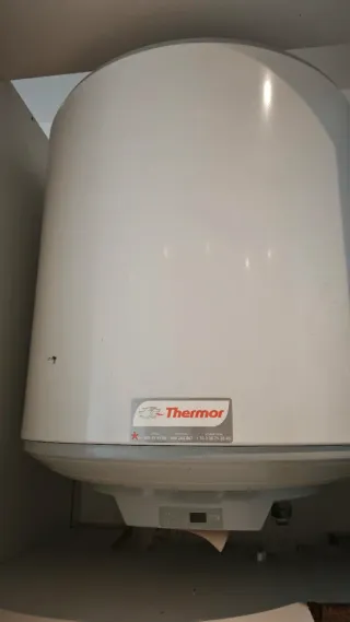 Termo eléctrico Thermor 50L