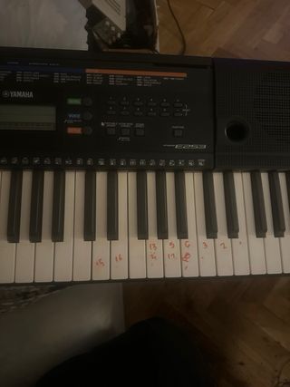 Teclado Yamaha PSR-E253
