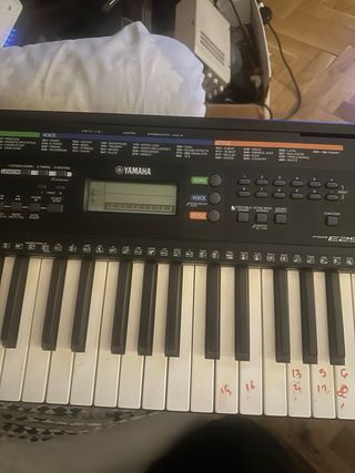 Teclado Yamaha PSR-E253