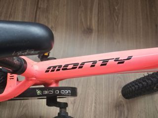 Bicicleta infantil Monty rosa