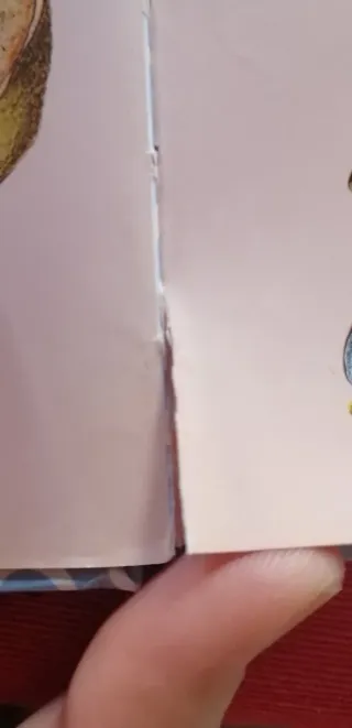 El Gran Libro de Imagenes de Teo