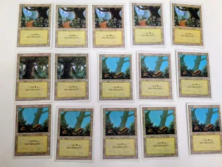 Tierras Forest REVISED (15) Magic The Gathering