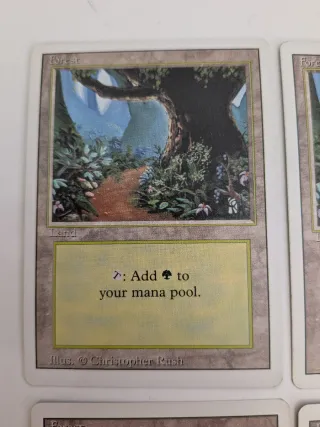Tierras Forest REVISED (15) Magic The Gathering