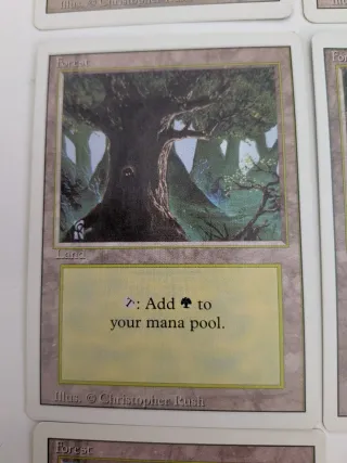 Tierras Forest REVISED (15) Magic The Gathering