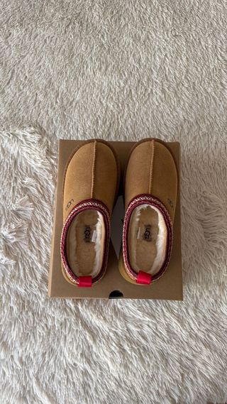 Stivali UGG Tazz Marroni