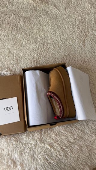 Stivali UGG Tazz Marroni