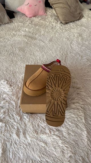 Stivali UGG Tazz Marroni