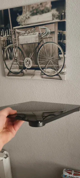 Báscula digital Euro Life