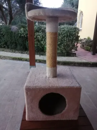 Tiragraffi per gatti