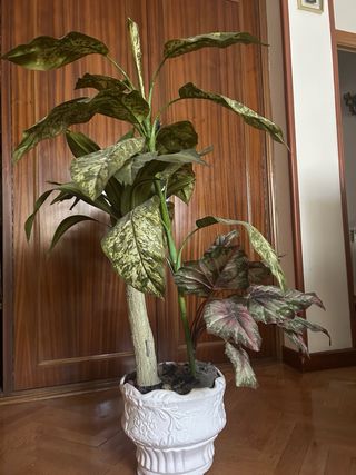 Planta Artificial Decorativa con Macetero