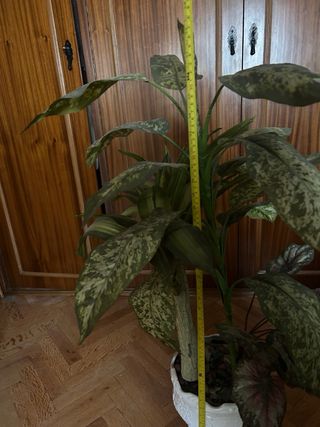 Planta Artificial Decorativa con Macetero