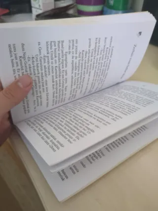 BIHOTZ AUSARTA - ZUBIA (Basque Edition)