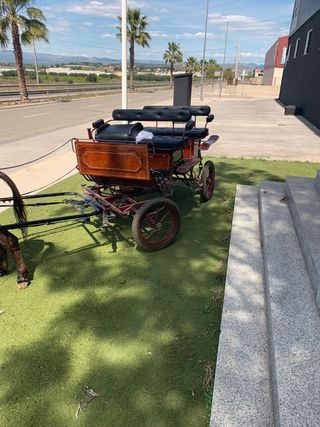 Carro de caballos tronco/linonera