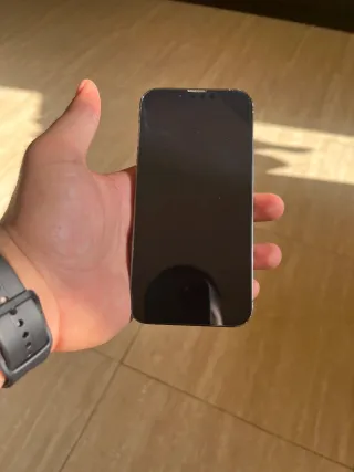 iPhone 13 Pro Gris - Como Nuevo
