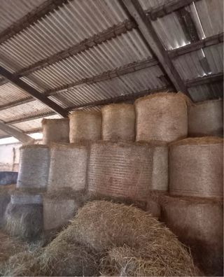 Bolas de silo, hierba y paja