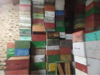 Cuadros y colmenas Langstroth