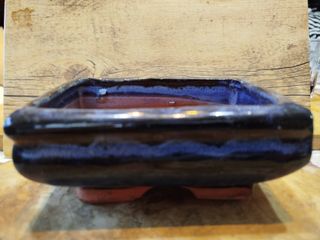 Vasi bonsai cinesi x 2, blu e bianco