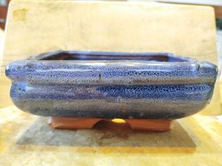 Vasi bonsai cinesi x 2, blu e bianco