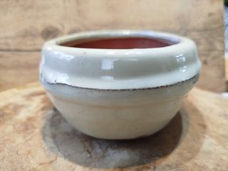 Vasi bonsai cinesi x 2, blu e bianco