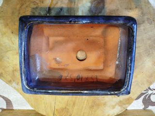 Vasi bonsai cinesi x 2, blu e bianco