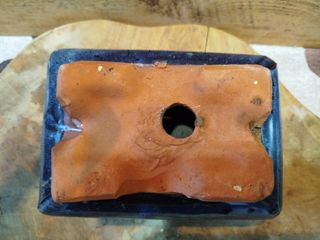 Vasi bonsai cinesi x 2, blu e bianco