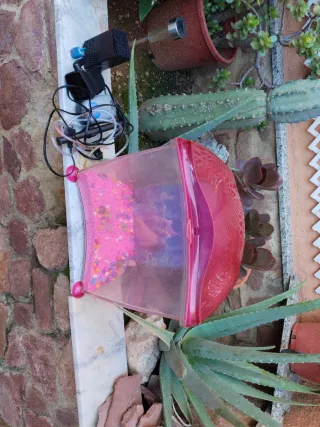 Acuario rosa con grava rosa
