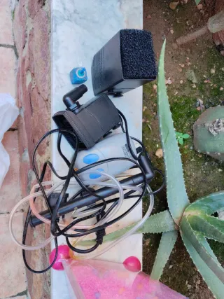 Acuario rosa con grava rosa