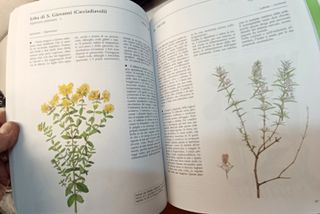 Grande Libro Erbe e piante della salute