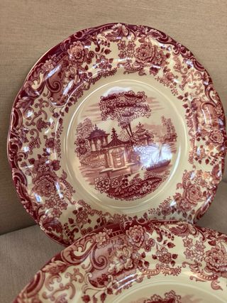 6 Platos Llanos La Cartuja Rosa