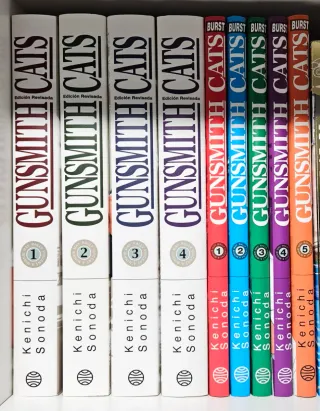 Gunsmith Cats + Burst Colección Completa