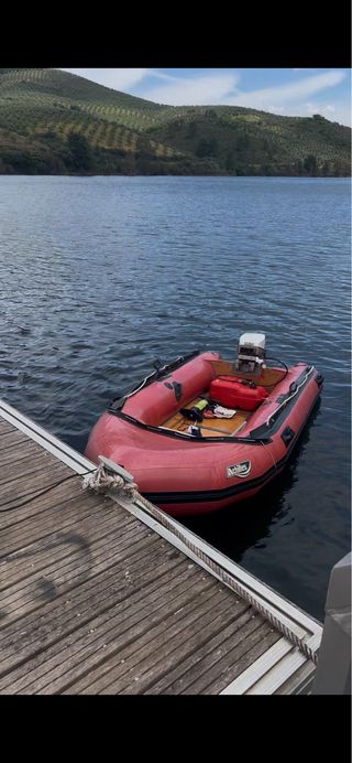 Barca Motor fueraborda Johnson 99