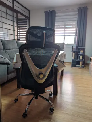 HOLLUDLE Silla ergonómica de oficina