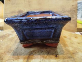 Vasi bonsai cinesi X2