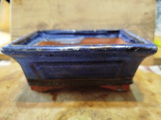 Vasi bonsai cinesi X2