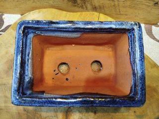 Vasi bonsai cinesi X2