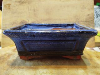 Vasi bonsai cinesi X2