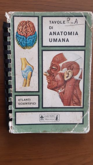 Tavole di anatomia umana