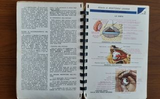 Tavole di anatomia umana