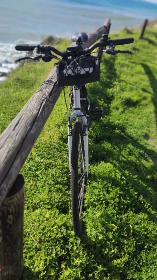 Bici eléctrica paseo