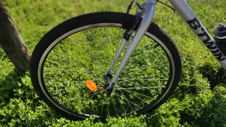 Bici eléctrica paseo