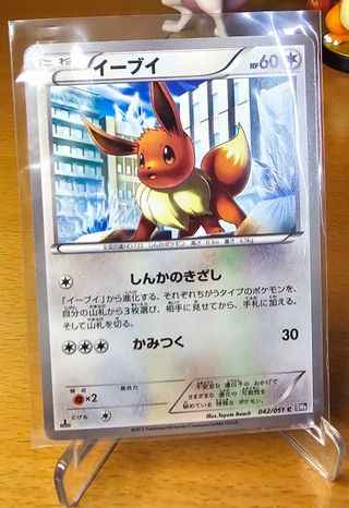 Eevee (BW8t 042) Carta Pokémon