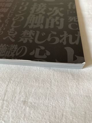 Neon Genesis Evangelion Ed. Coleccionista