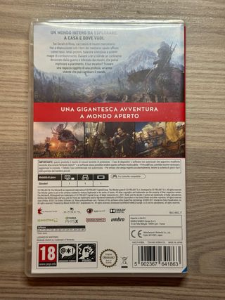 The Witcher 3 Wild Hunt Nintendo Switch