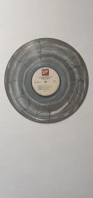 Disco vinile 33 giri decorato