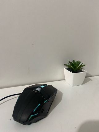 Ratón Gaming Rii