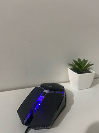 Ratón Gaming Rii