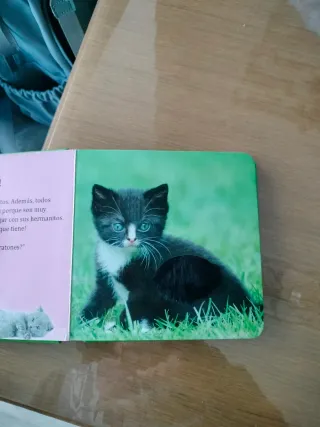 Toca toca animales suaves