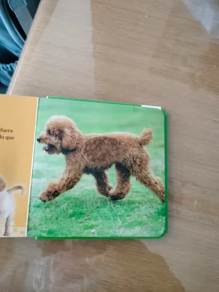 Toca toca animales suaves