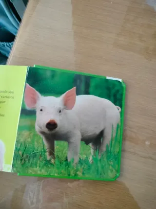 Toca toca animales suaves