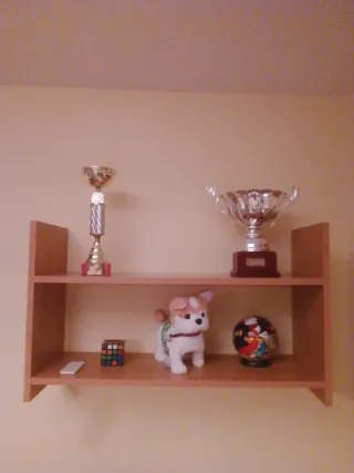 Juego 2 Estanterías Pared Madera 75x45